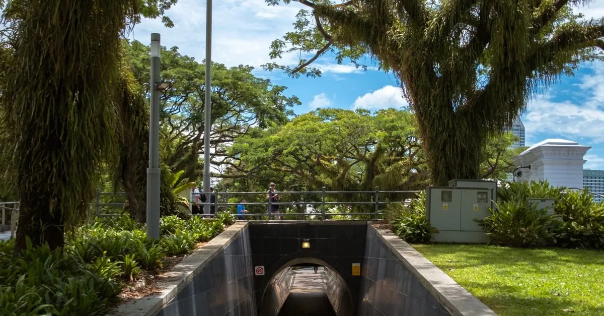 Tree-lined Fort Canning tunnel entrance with steps and path