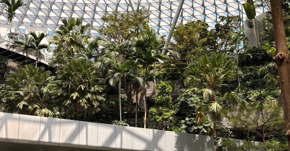 Indoor garden and glass roof at Jewel Changi Airport