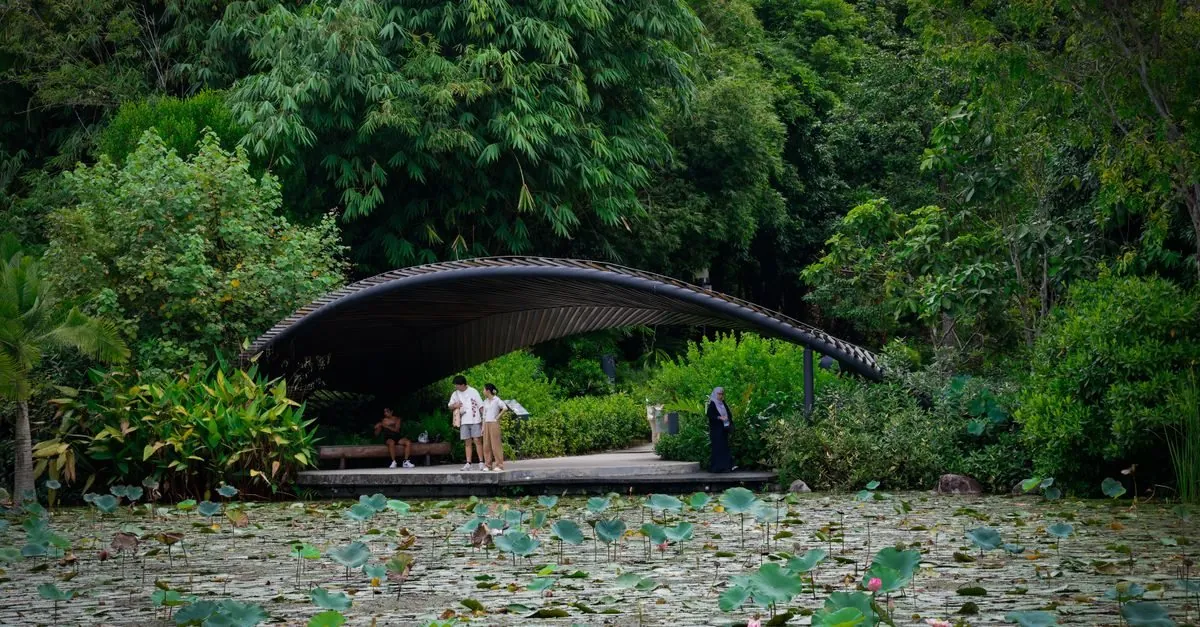 Visitors beside a pond framed by tropical greenery at Singapore Botanic Gardens